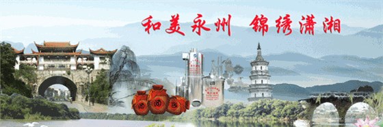 永州市雅大科技實業(yè)有限公司