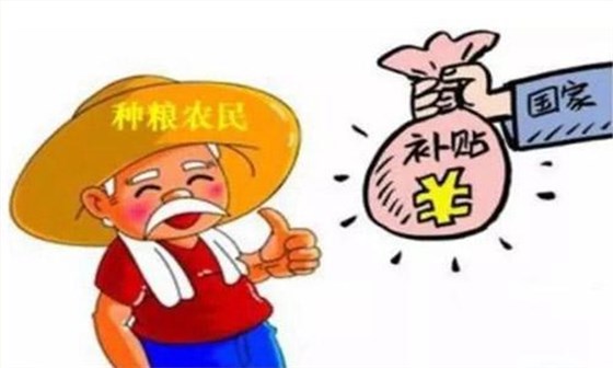 【白酒生產(chǎn)設(shè)備】主糧的保護(hù)價收購需貫徹