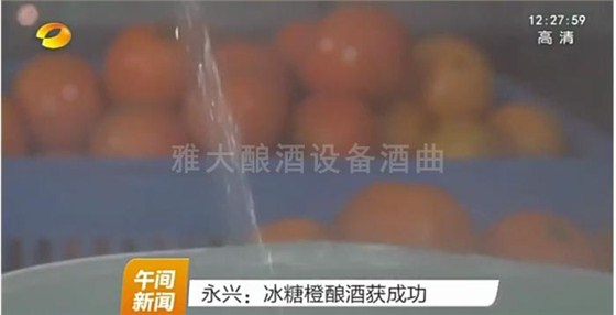 永興冰糖橙滯銷 曹總引雅大烤酒設(shè)備靠“釀”帶動(dòng)銷量