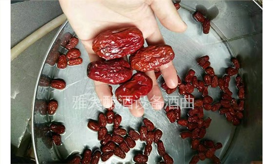 小型釀酒設(shè)備：特色紅棗酒——原料的處理