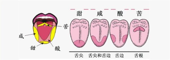 微信圖片_201809181010022