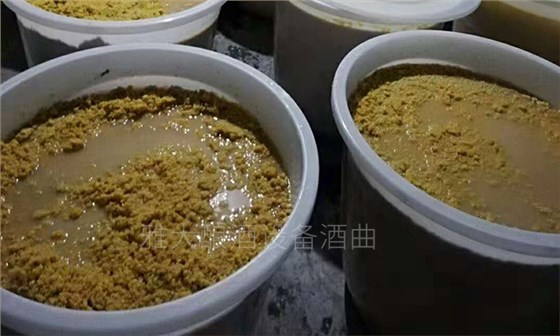 玉米熟料液態(tài)釀酒技術