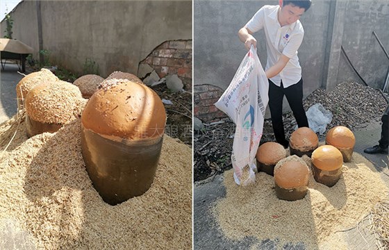 將燃料均勻散在酒壇周圍，暗火慢炙