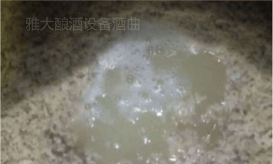 大米半固態(tài)發(fā)酵，沒加水前酒液就很豐富7