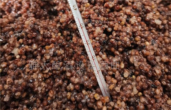 夏季用白酒蒸餾設(shè)備釀酒為什么容易酒苦？ 3